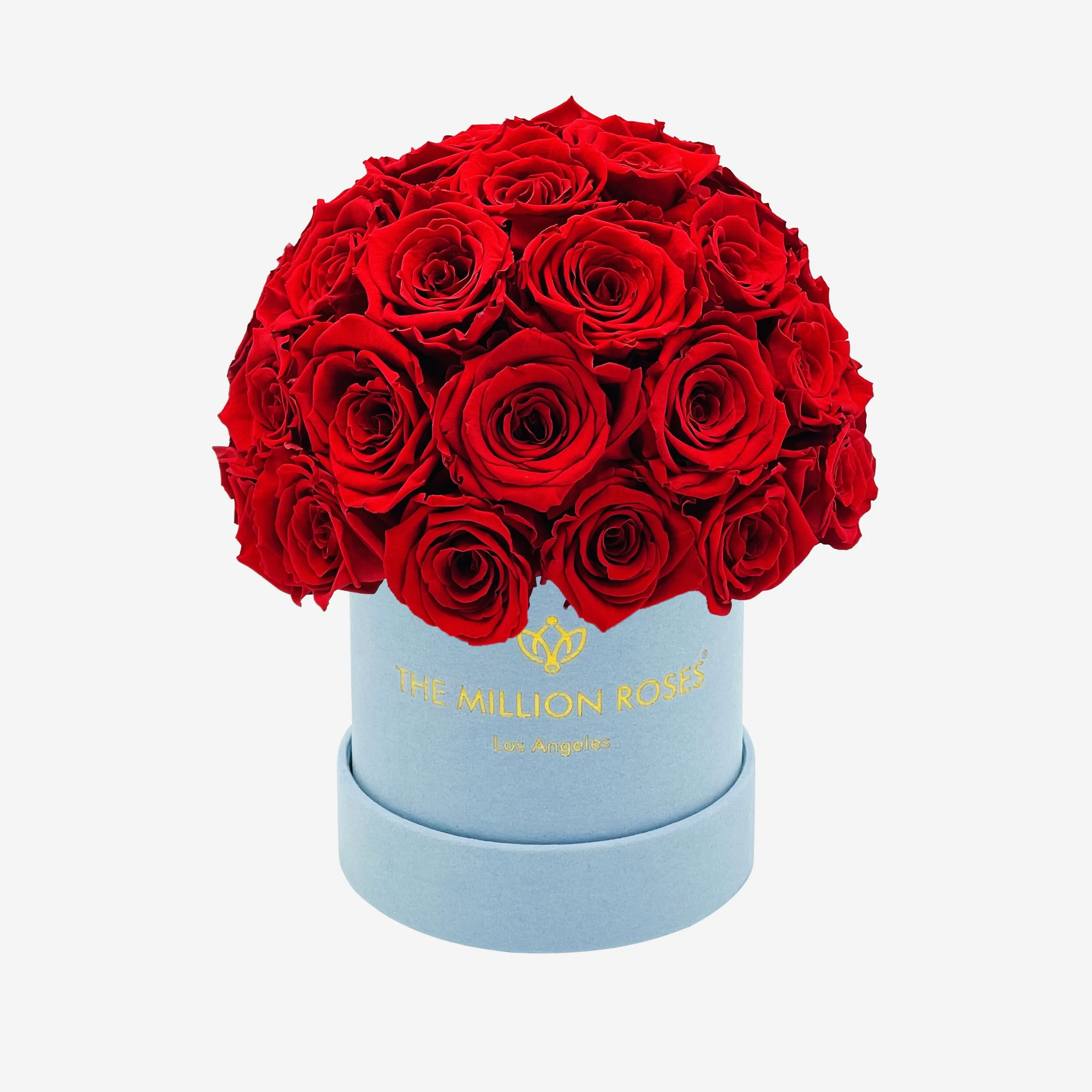 Basic Light Blue Suede Superdome Box | Red Roses