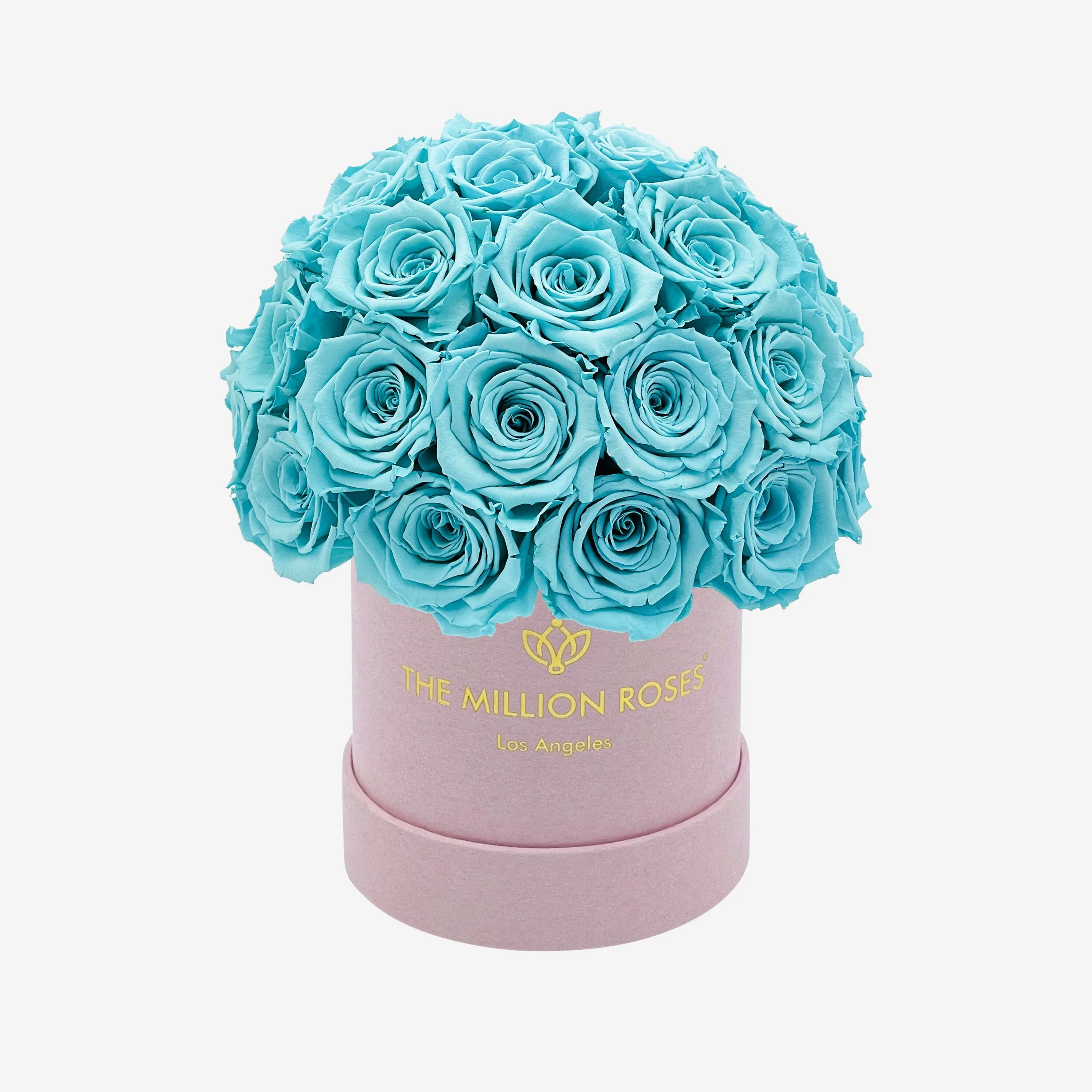 Basic Light Pink Suede Superdome Box | Turquoise Roses